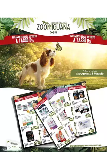 Le nostre migliori offerte per te Le nostre migliori offerte per te