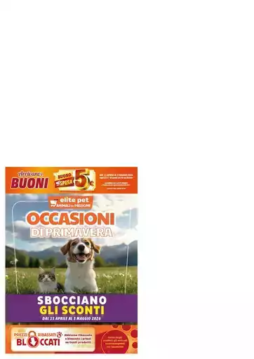 Le nostre migliori offerte per te