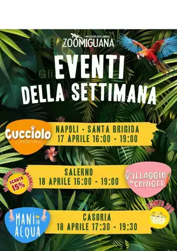 Offerte Zoomiguana
