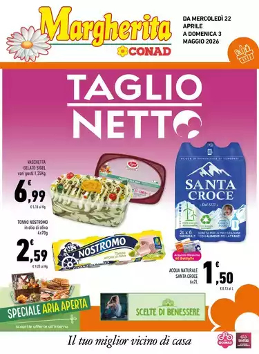 Taglio Netto