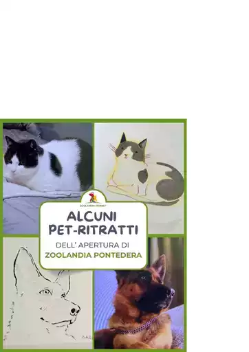 Offerte Zoolandia Family