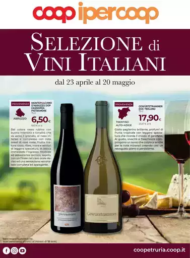 CATALOGO VINO