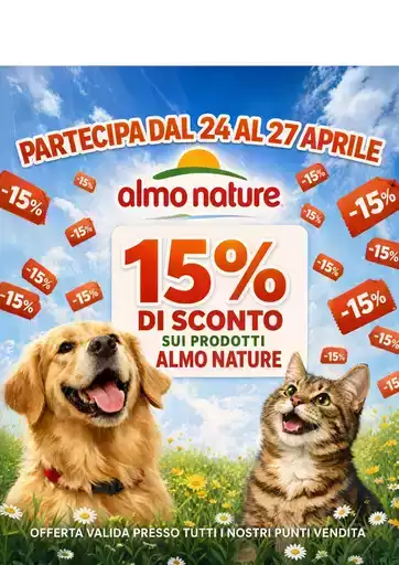 Le nostre migliori offerte per te