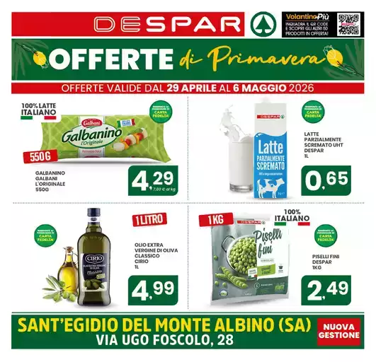 Offerte di primavera