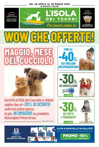 05 Isola Tesori Attacco 26 ciXxD1R