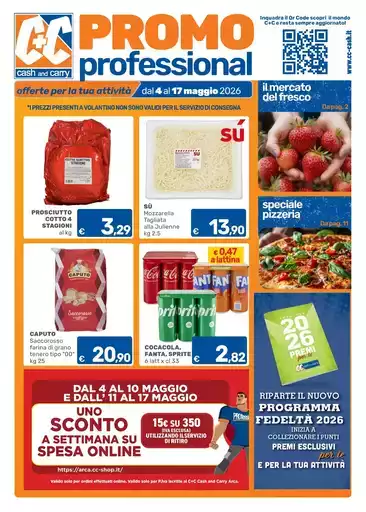 Promo professional