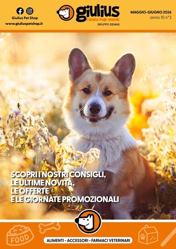 Maggio-Giugno 2026