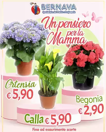 Un pensiero per la mamma