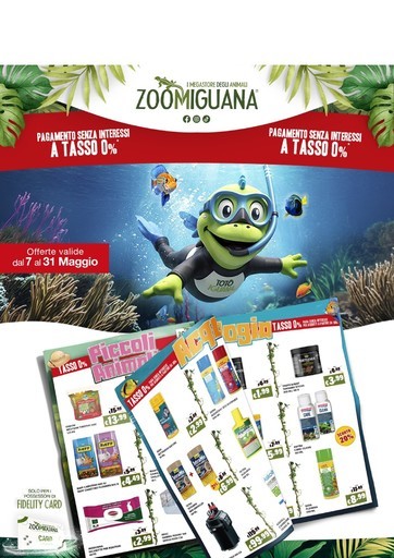 Offerte Zoomiguana