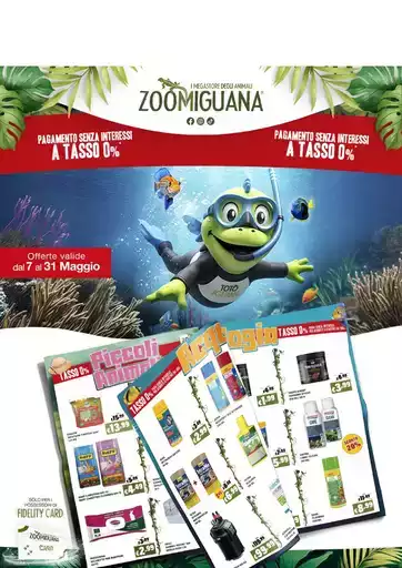Offerte Zoomiguana