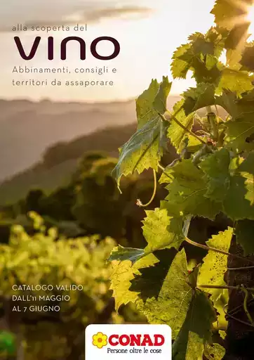 Alla scoperta del vino