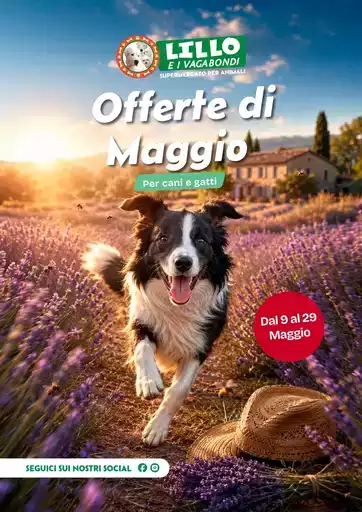 Fa54564f b0e0 433a ba21 589b083bc01d VolantinoMaggio26 web