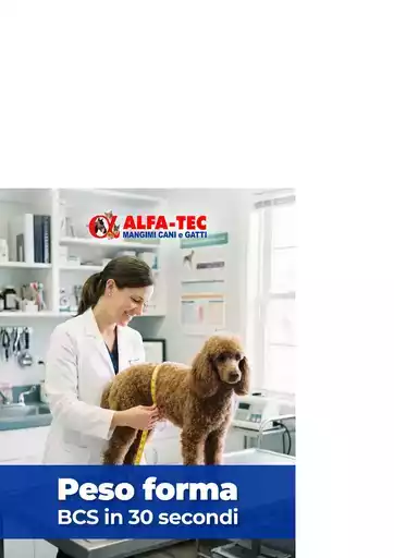 Offerte Alfa Tec