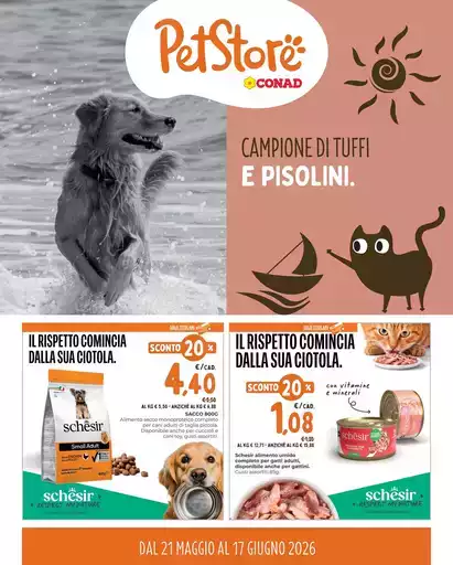 Campione di tuffi e pisolini. Campione di tuffi e pisolini.