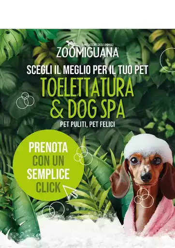 Offerte Zoomiguana