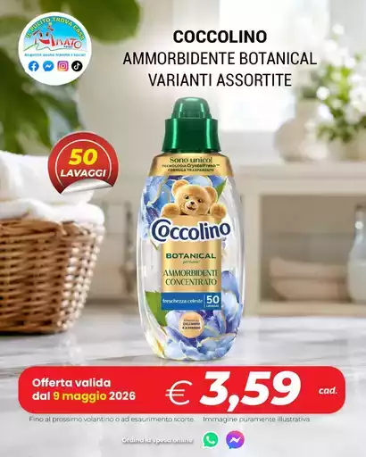 Offerte Offerte