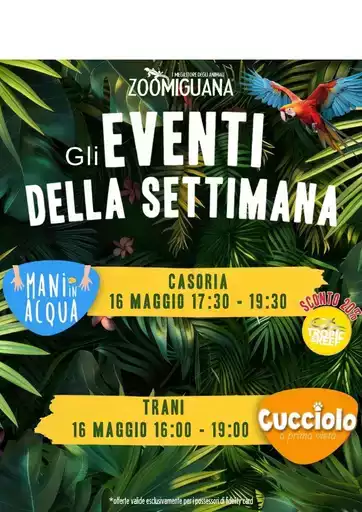 Offerte Zoomiguana