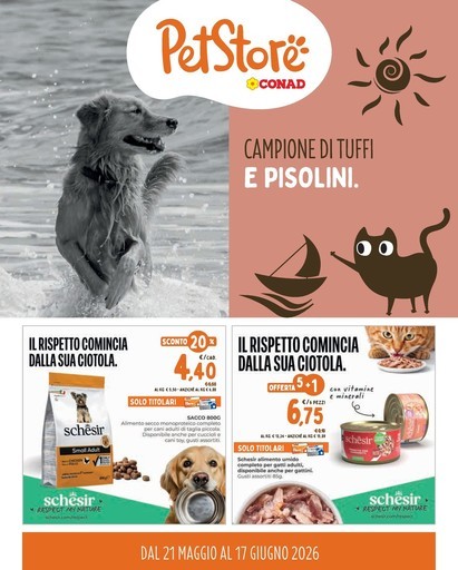 Campione di tuffi e pisolini Campione di tuffi e pisolini