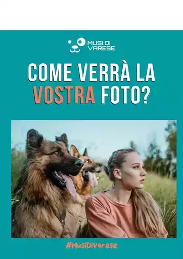 Offerte Iper Animal