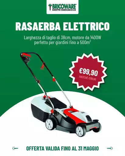 Rasaerba elettrico