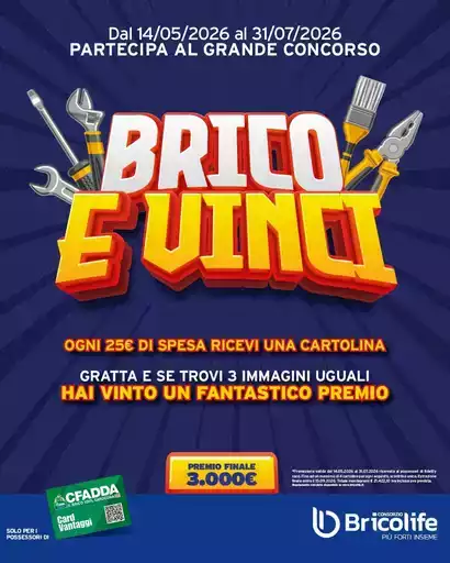 Brico e vinci
