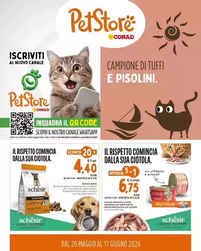 Campione di tuffi e pisolini Campione di tuffi e pisolini