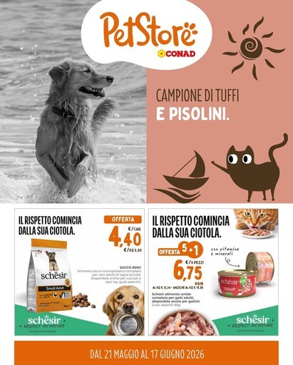 Campione di tuffi e pisolini