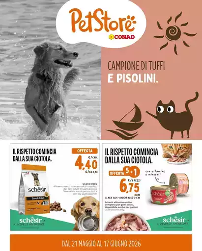 Campione di tuffi e pisolini