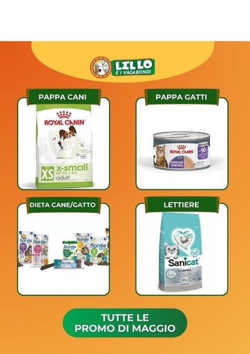 Offerte Lillo e i vagabondi
