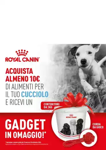 Offerte Alfa Tec