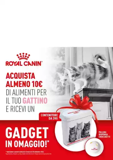 Offerte speciali per te