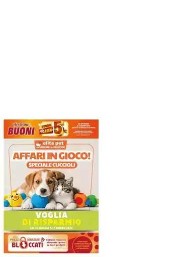Le migliori offerte per gli acquirenti parsimoniosi Le migliori offerte per gli acquirenti parsimoniosi