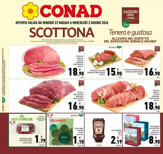 SCOTTONA