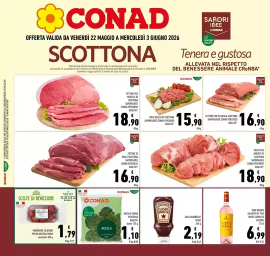 SCOTTONA