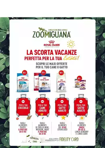 Offerte Zoomiguana Offerte Zoomiguana