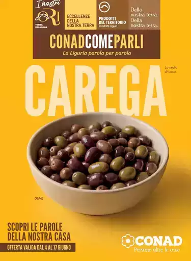 Localismo