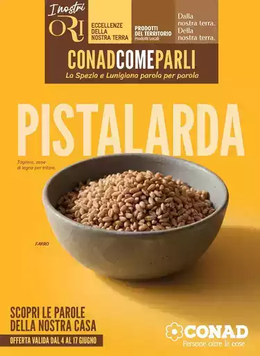 Localismo
