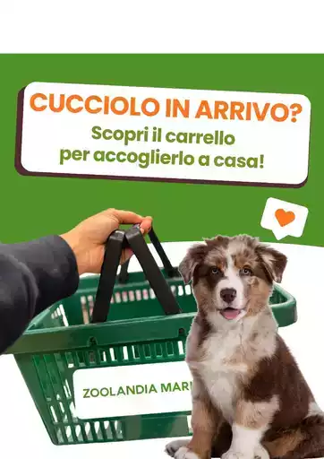 Offerte Zoolandia Family