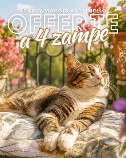 Offerte a 4 zampe Offerte a 4 zampe