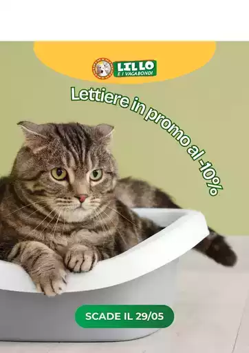 Offerte Lillo e i vagabondi