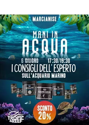 Offerte per cacciatori di affari