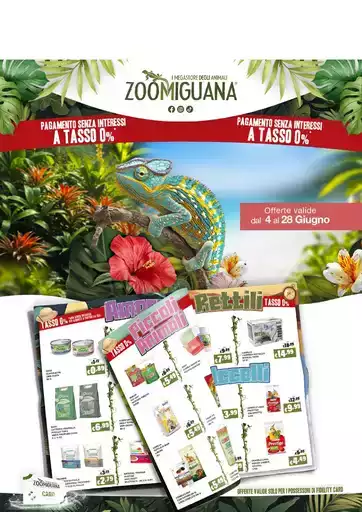 Offerte Zoomiguana