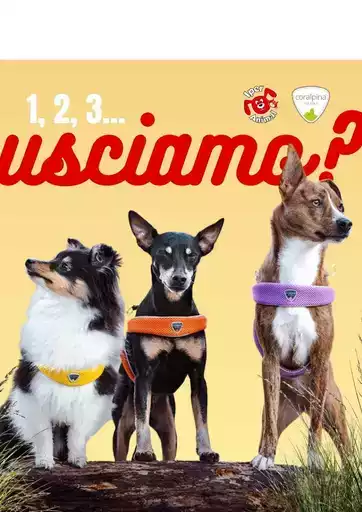 Offerte Iper Animal