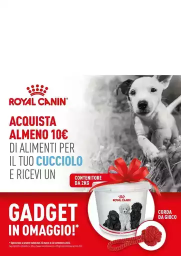 Offerte Alfa Tec Offerte Alfa Tec