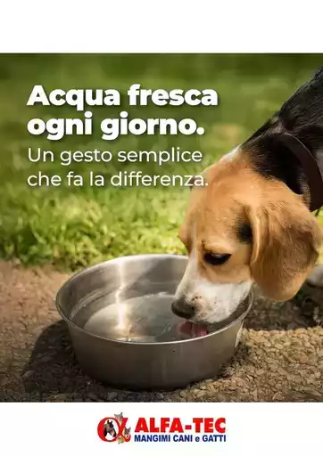 I nostri migliori affari I nostri migliori affari