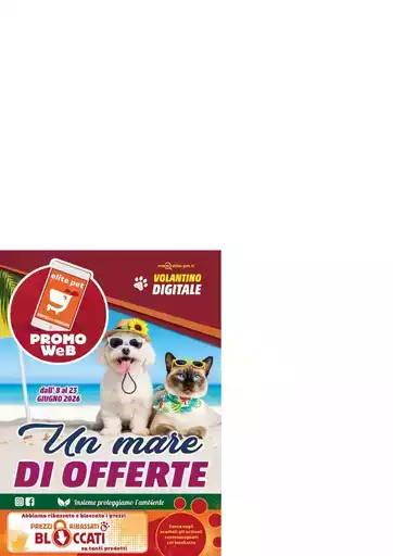 Le nostre migliori offerte per te