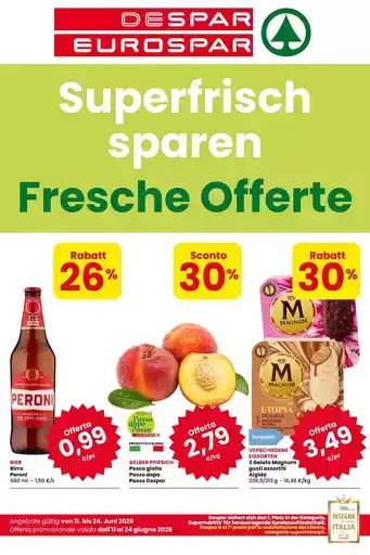 Fresche offerte Fresche offerte