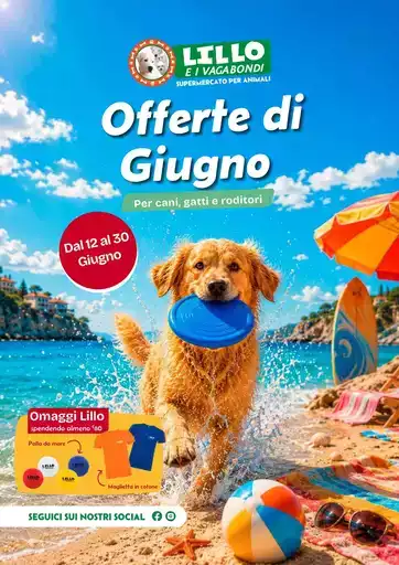 7399c468 ffb5 4b2a 9792 487b5684d2eb VolantinoGiugno26 web 7399c468 ffb5 4b2a 9792 487b5684d2eb VolantinoGiugno26 web