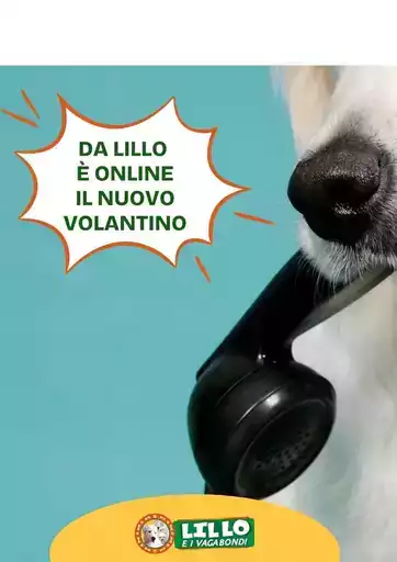 Offerte Lillo e i vagabondi