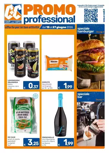 Promo professional Promo professional